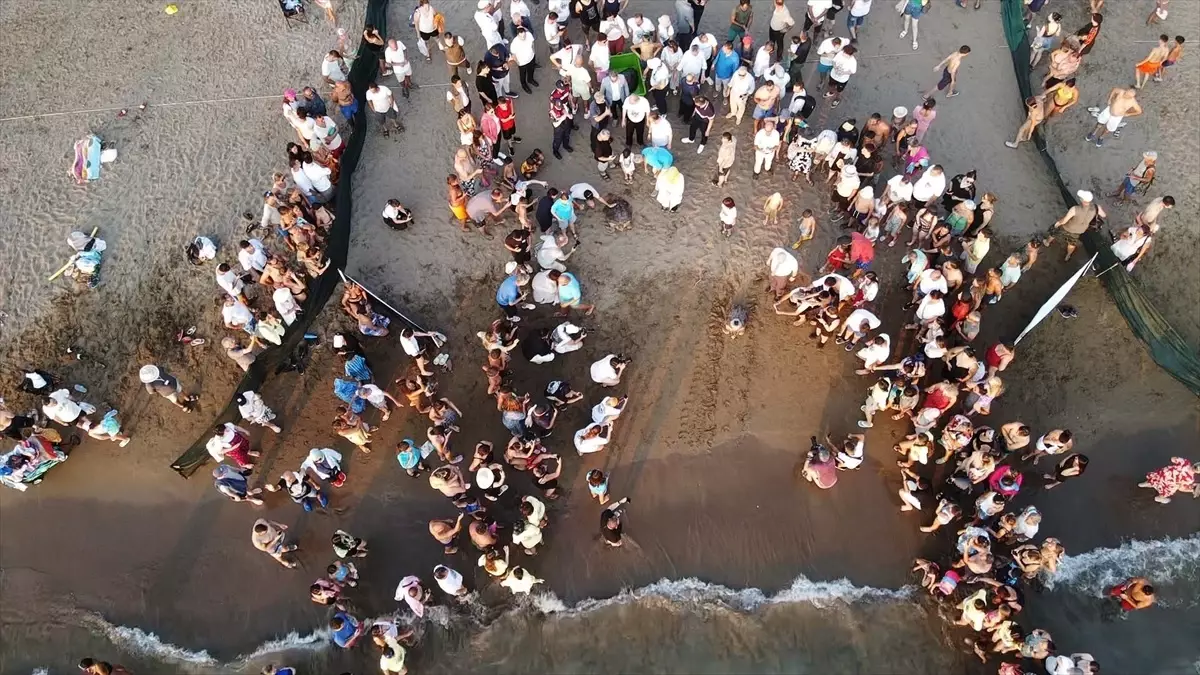 Tuba'nın İkinci Dünya Turu