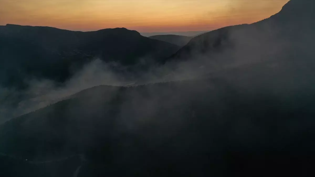 Sinop'ta Orman Yangınına Müdahale