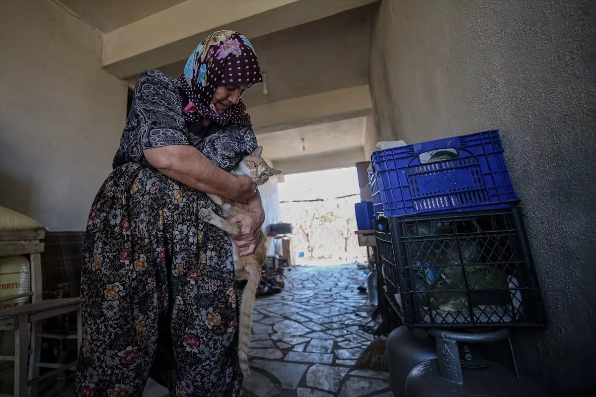 Yangında Kayıp Kediyi Bulmanın Sevinci