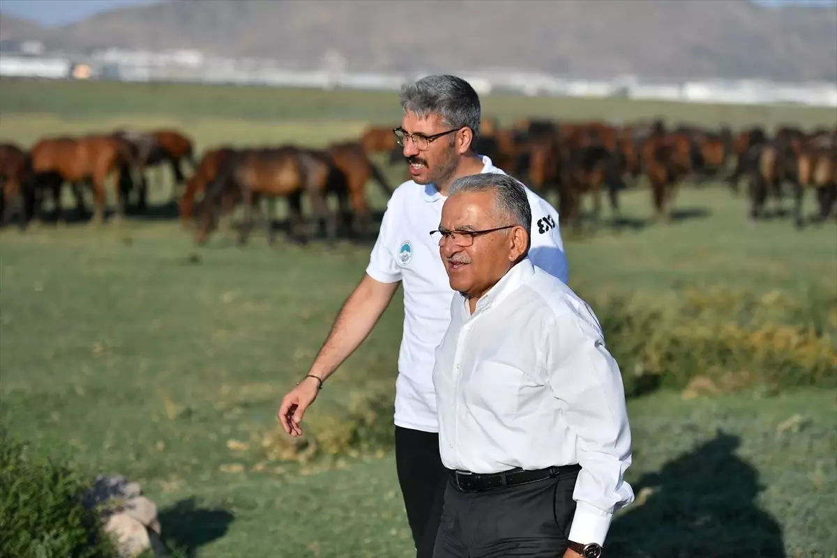 Büyükkılıç'tan Hürmetçi Sazlığı Ziyareti