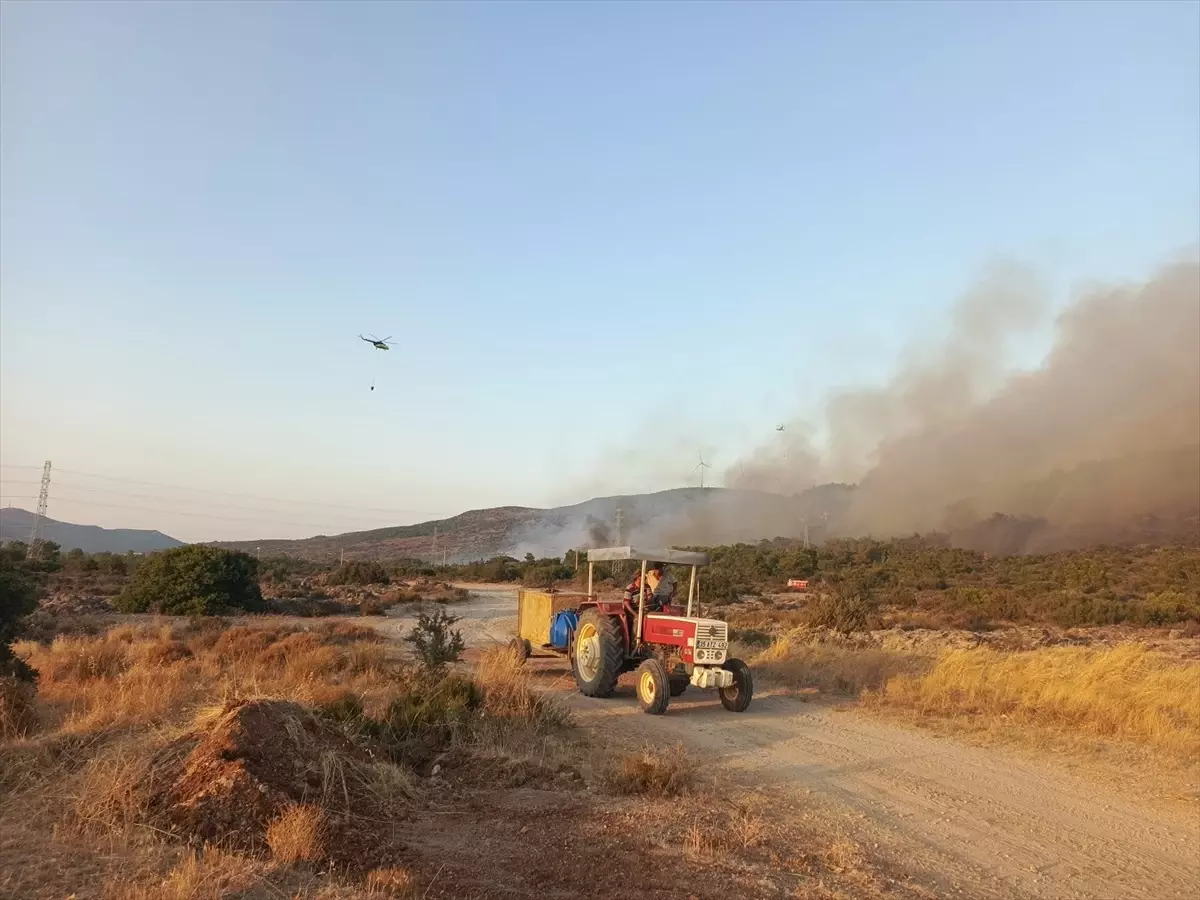 Urla'da Yangın Kontrol Altına Alındı
