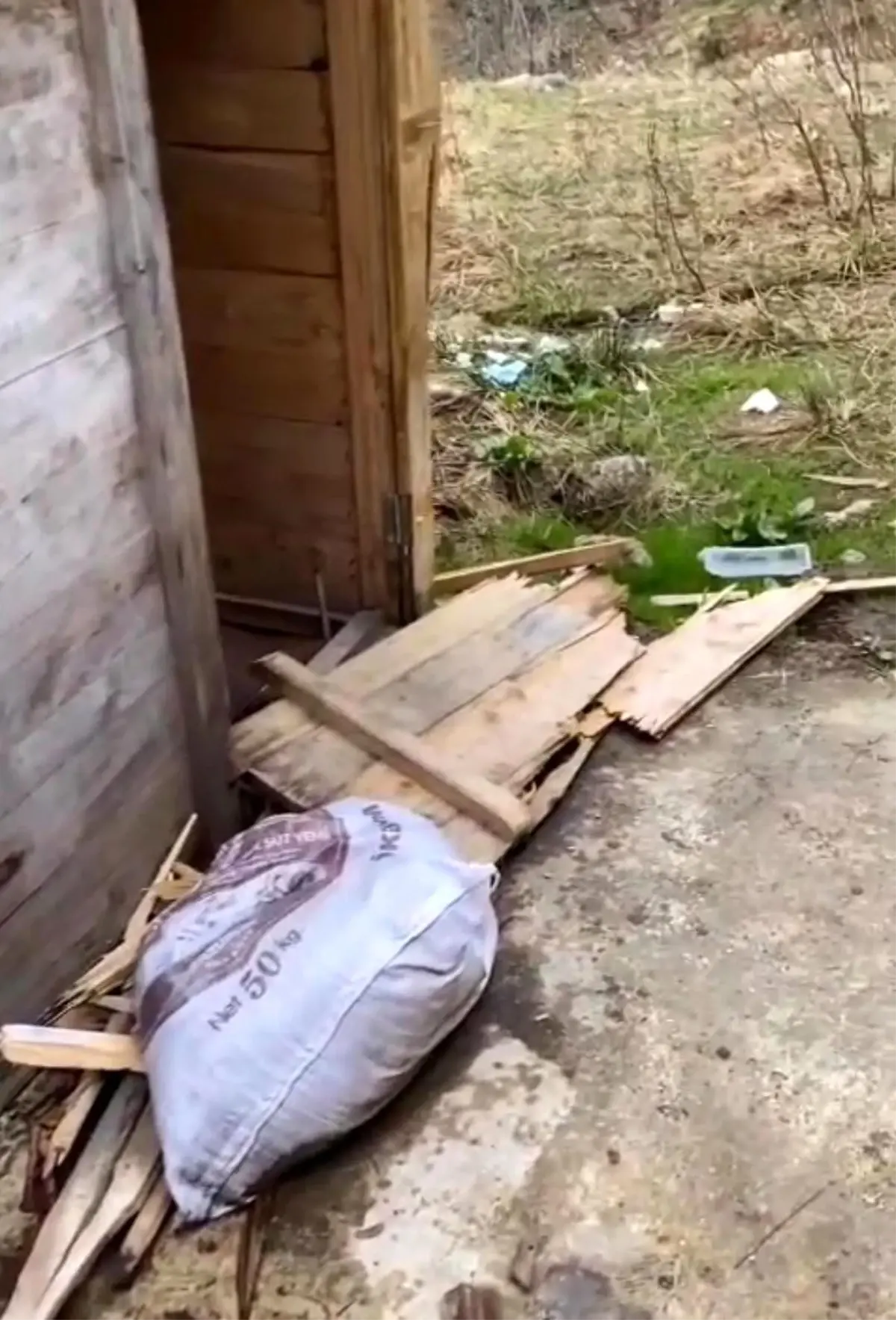 Ayılar Bungalovları Talan Etti