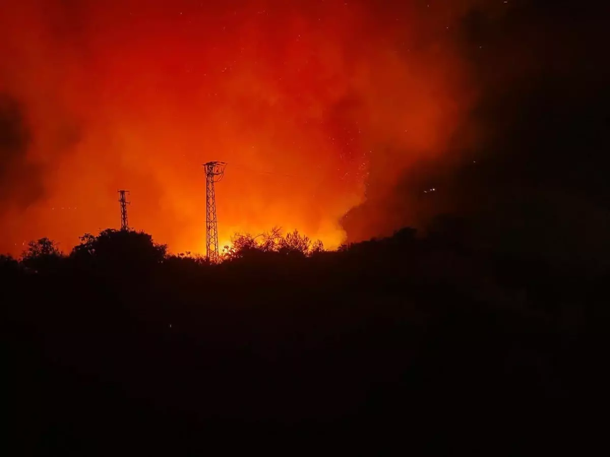 Yayladağı'nda Orman Yangını Sürüyor