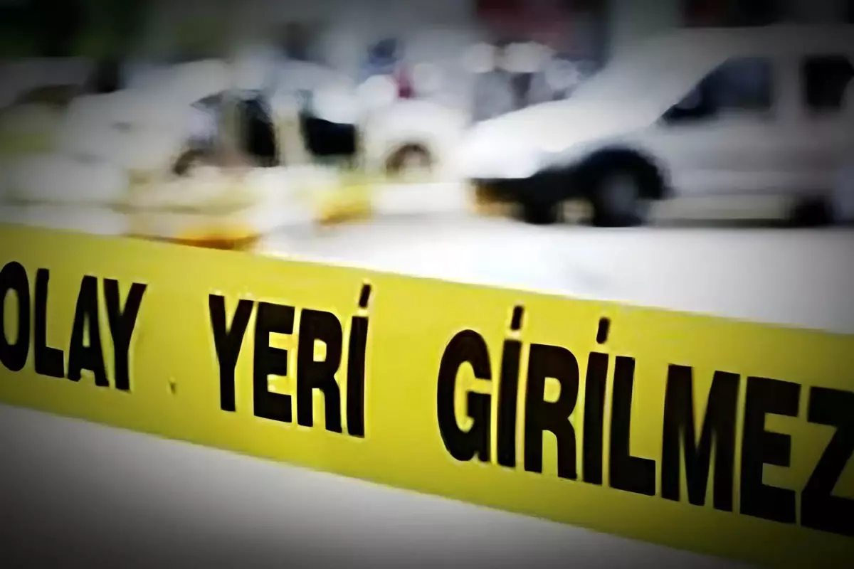 Mamak'ta Köpeklere Silahlı Müdahale