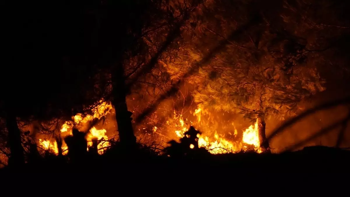 Çanakkale'de Orman Yangınına Müdahale