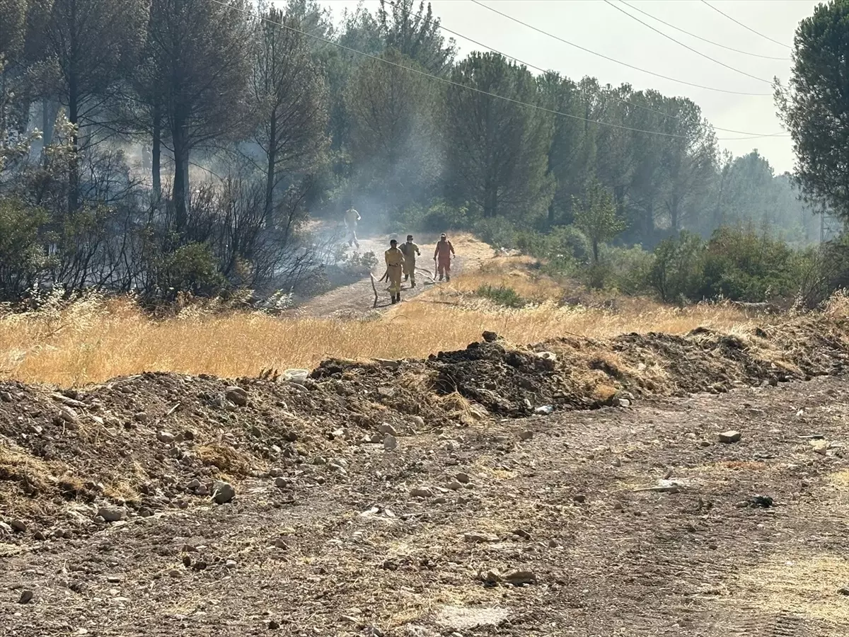 Soma'da Orman Yangınına Müdahale
