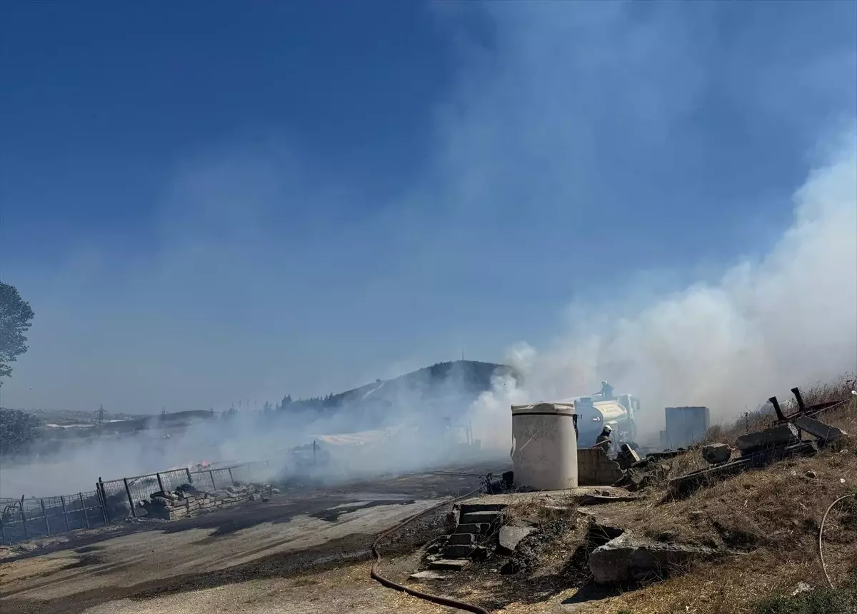 Edirne'de Orman Yangını: Hava ve Karadan Müdahale