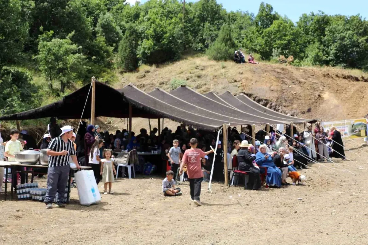 Dövmekaya Köyü 1. Piknik Şöleni