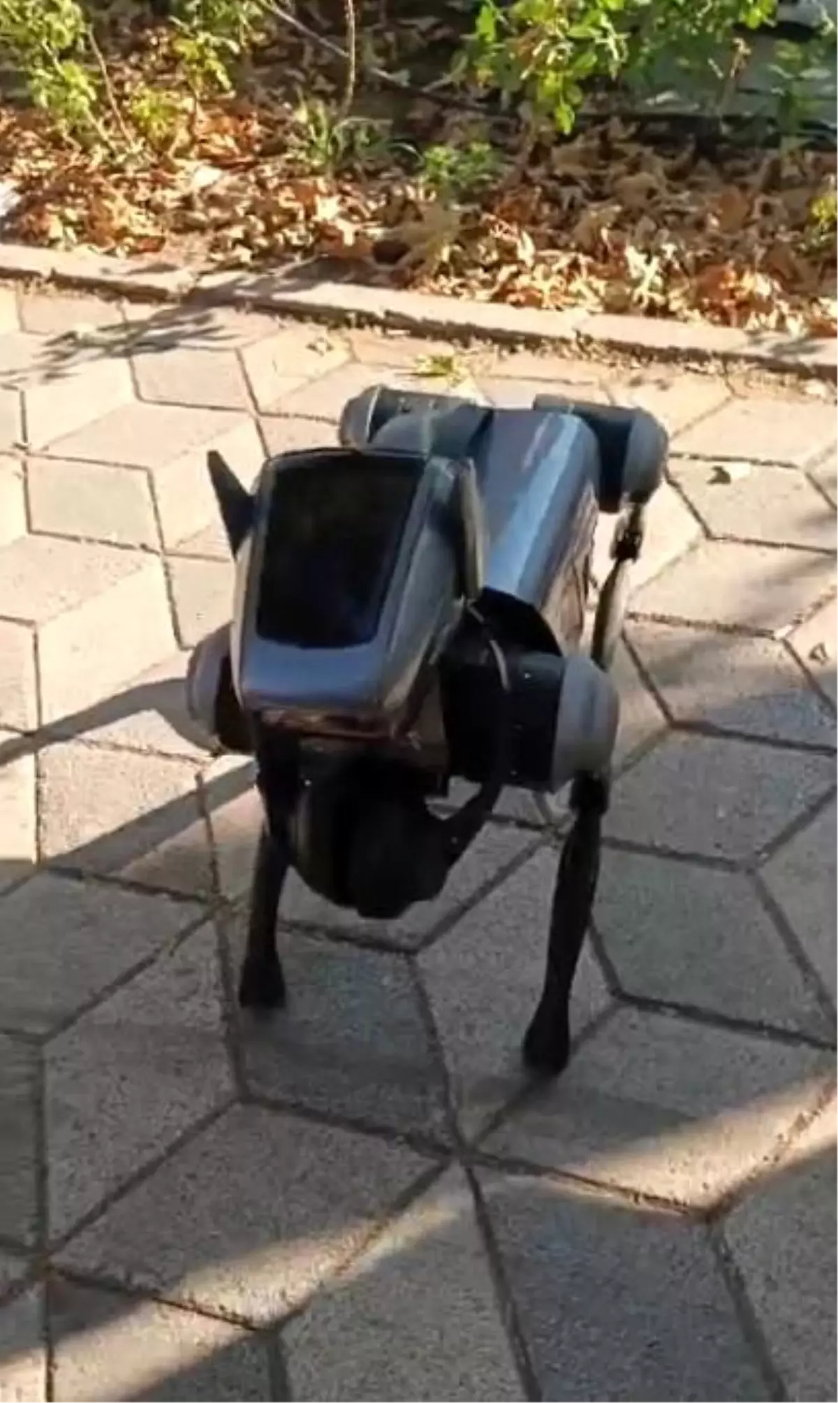 Robot Köpek Eskişehir'de İlgi Odağı Oldu