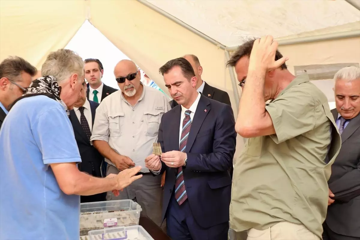 Karçınbaşı Şehitliği'nde Kazı Çalışmaları Başladı