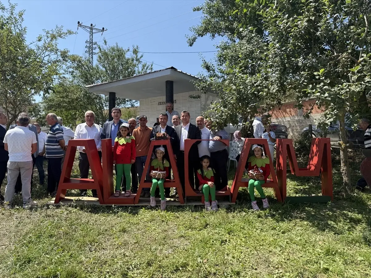 Alaçam'da Çilek Festivali Coşkusu