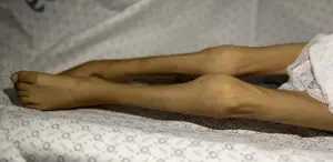 Hacı Bektaş Veli'nin Eserleri Dijitalde