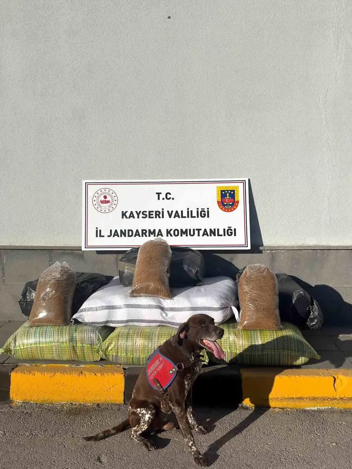 Kayseri'de 230 kg Kaçak Tütün Ele Geçirildi