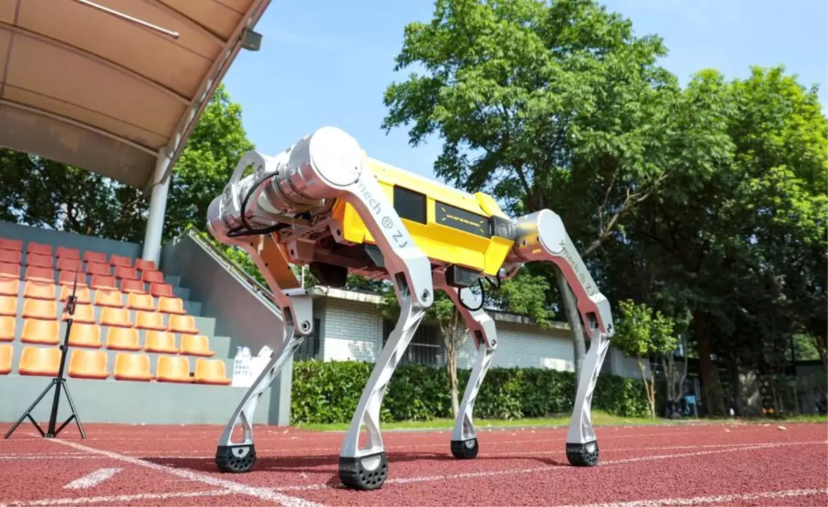 Bacaklı Robot Dünya Rekoru Kırdı