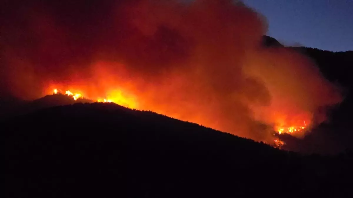 Hatay'da Orman Yangınına Müdahale Devam Ediyor
