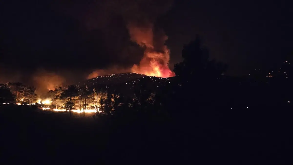 Silifke'de Orman Yangını