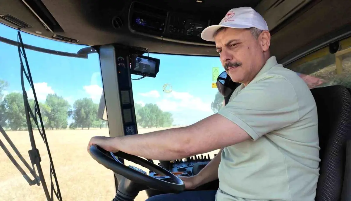 Vali Çiftçi, Öğrencilerle Buğday Hasadı Yaptı