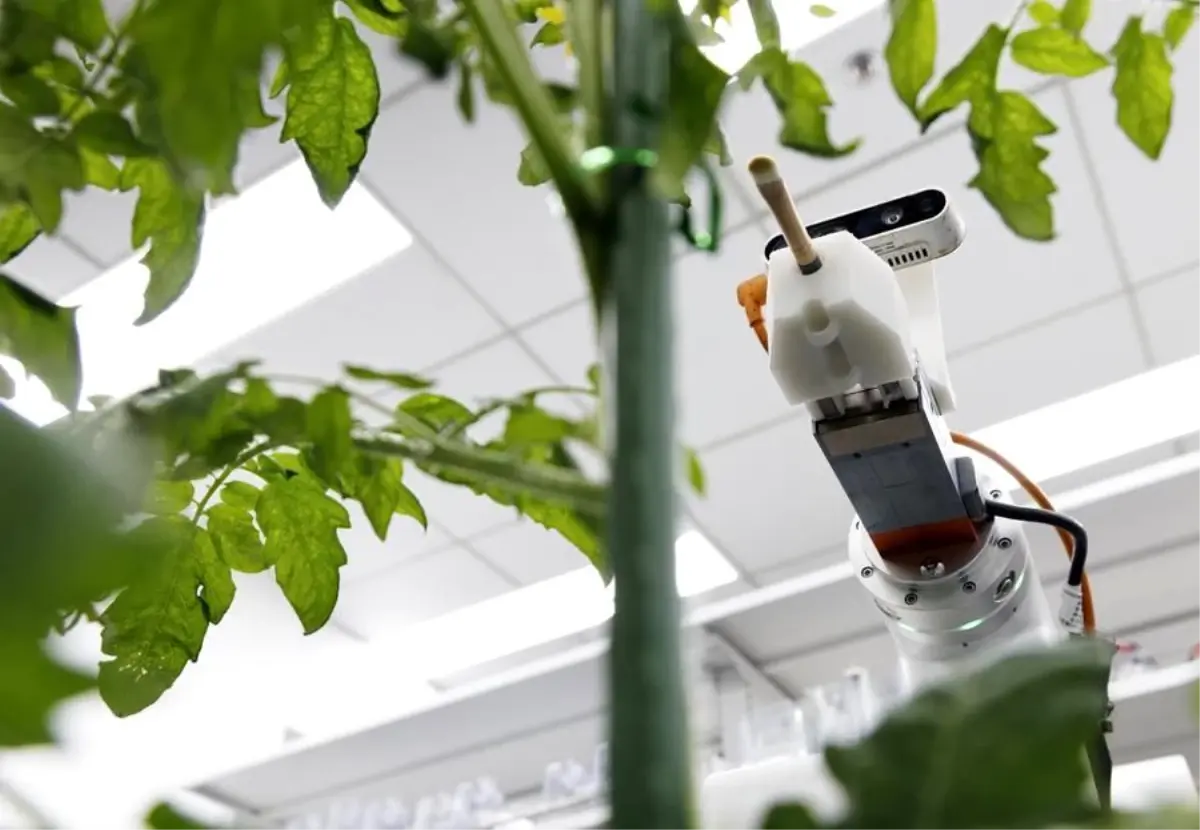 Çin'den Tarım İçin İlk AI Robotu