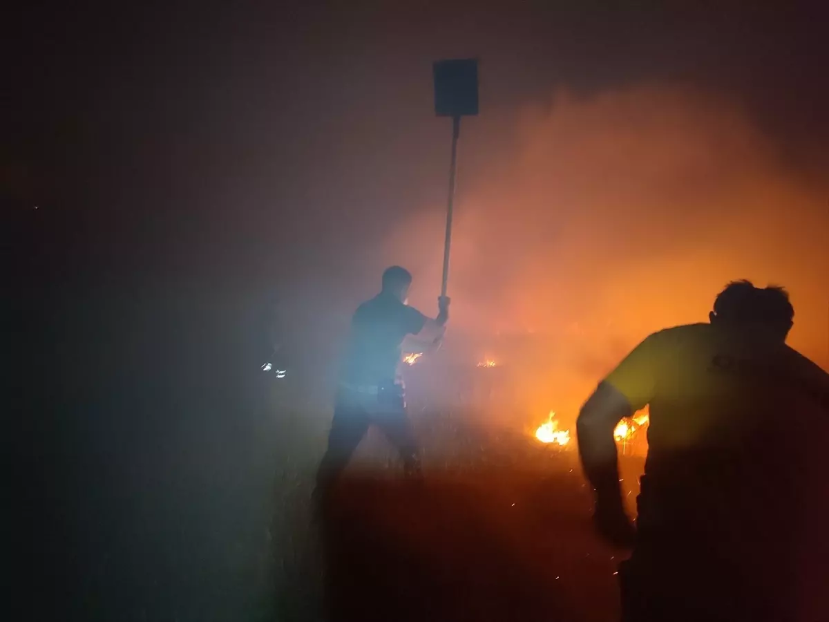Niğde'de Yangın Mücadelesi Devam Ediyor
