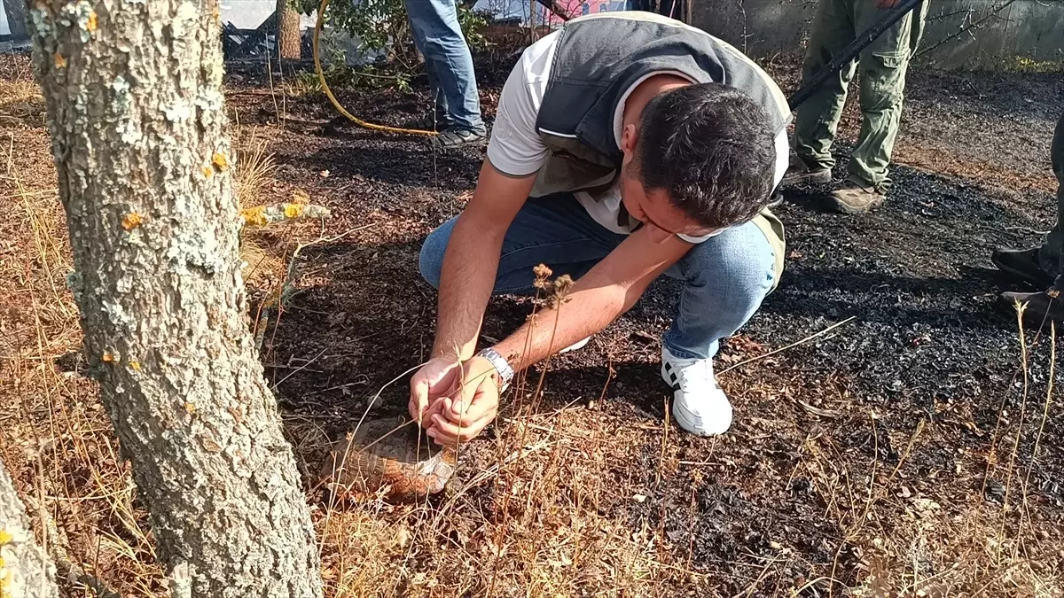 Pazaryeri'nde Tarım Arazisinde Yangın Çıktı