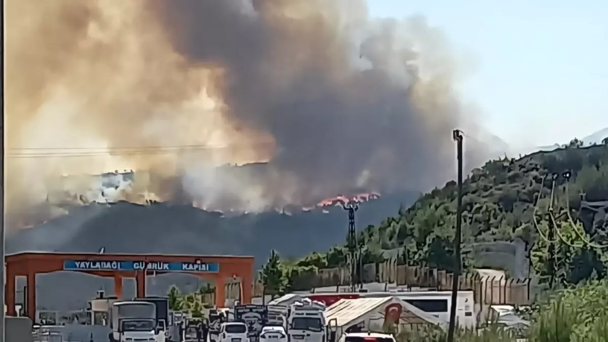 Yangın Suriye'den Türkiye'ye Sıçradı