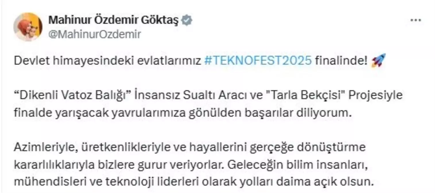 Bakan Göktaş'tan TEKNOFEST 2025'e Destek