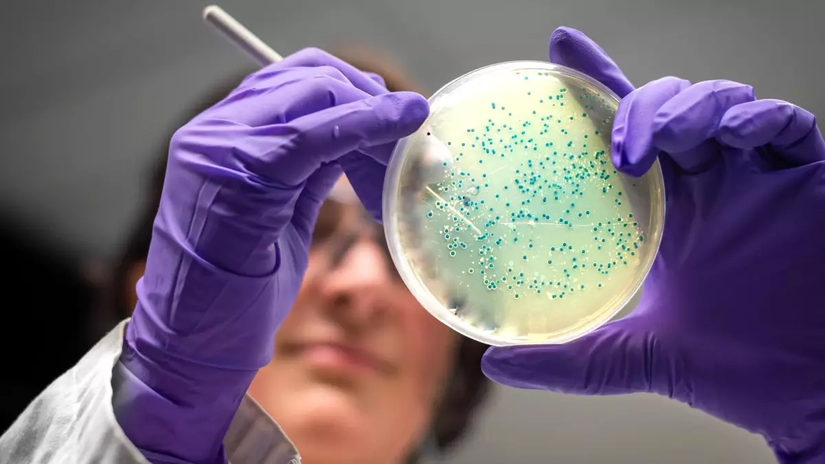 Yapay Zeka ile Yeni Antibiyotikler Geliştirildi