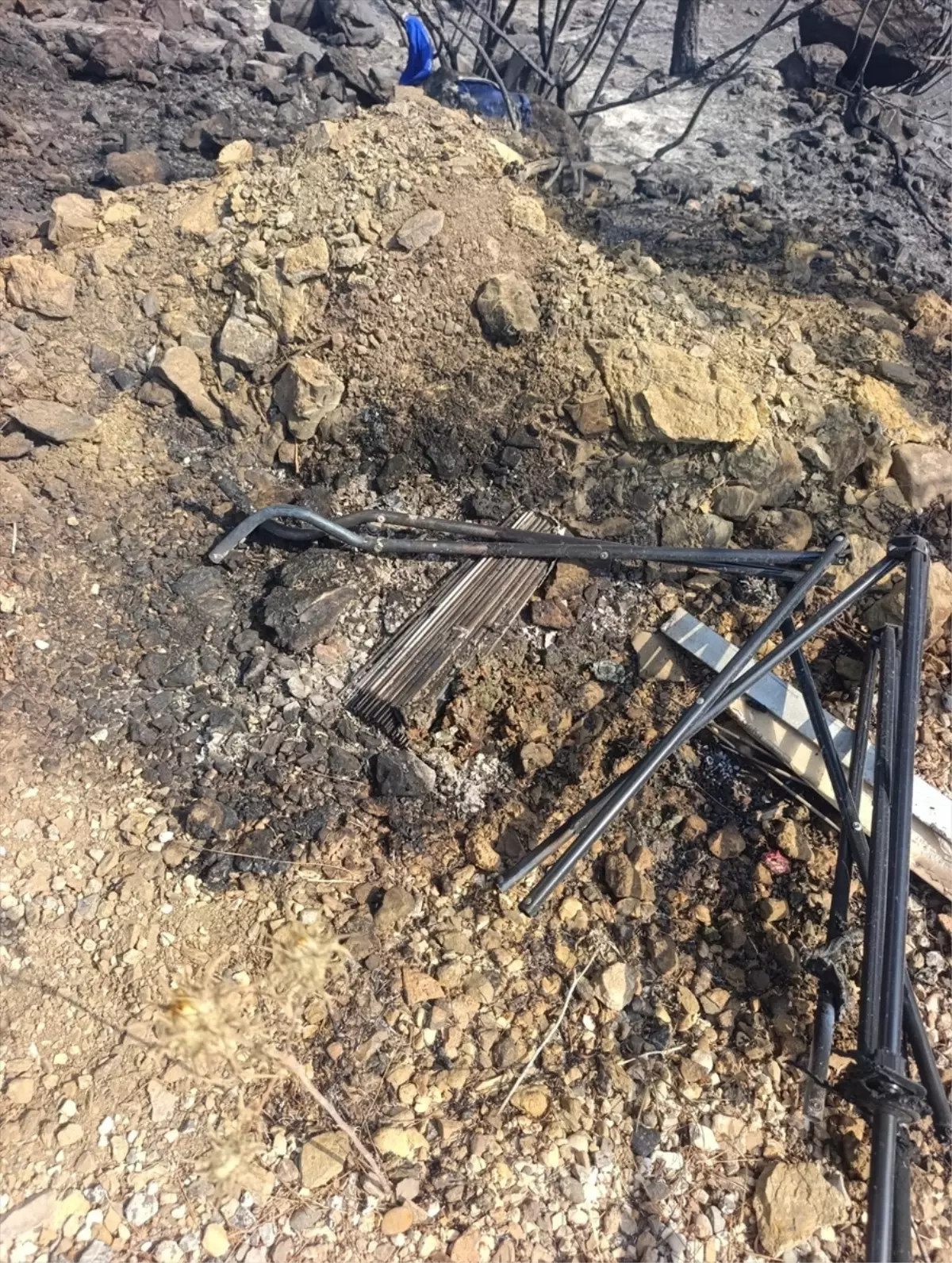 Silifke'de Orman Yangınına Sebep Olan 4 Kişi Tutuklandı