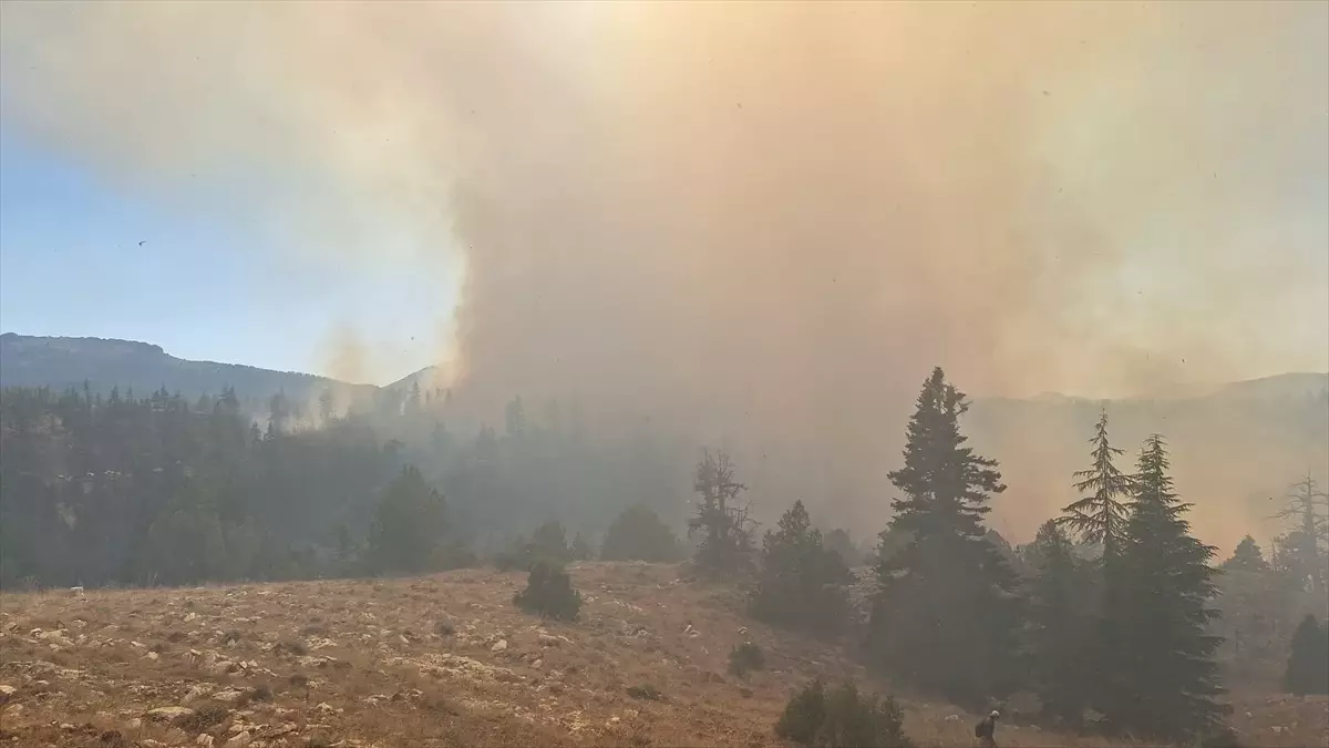 Karaman'da Orman Yangınlarına Müdahale