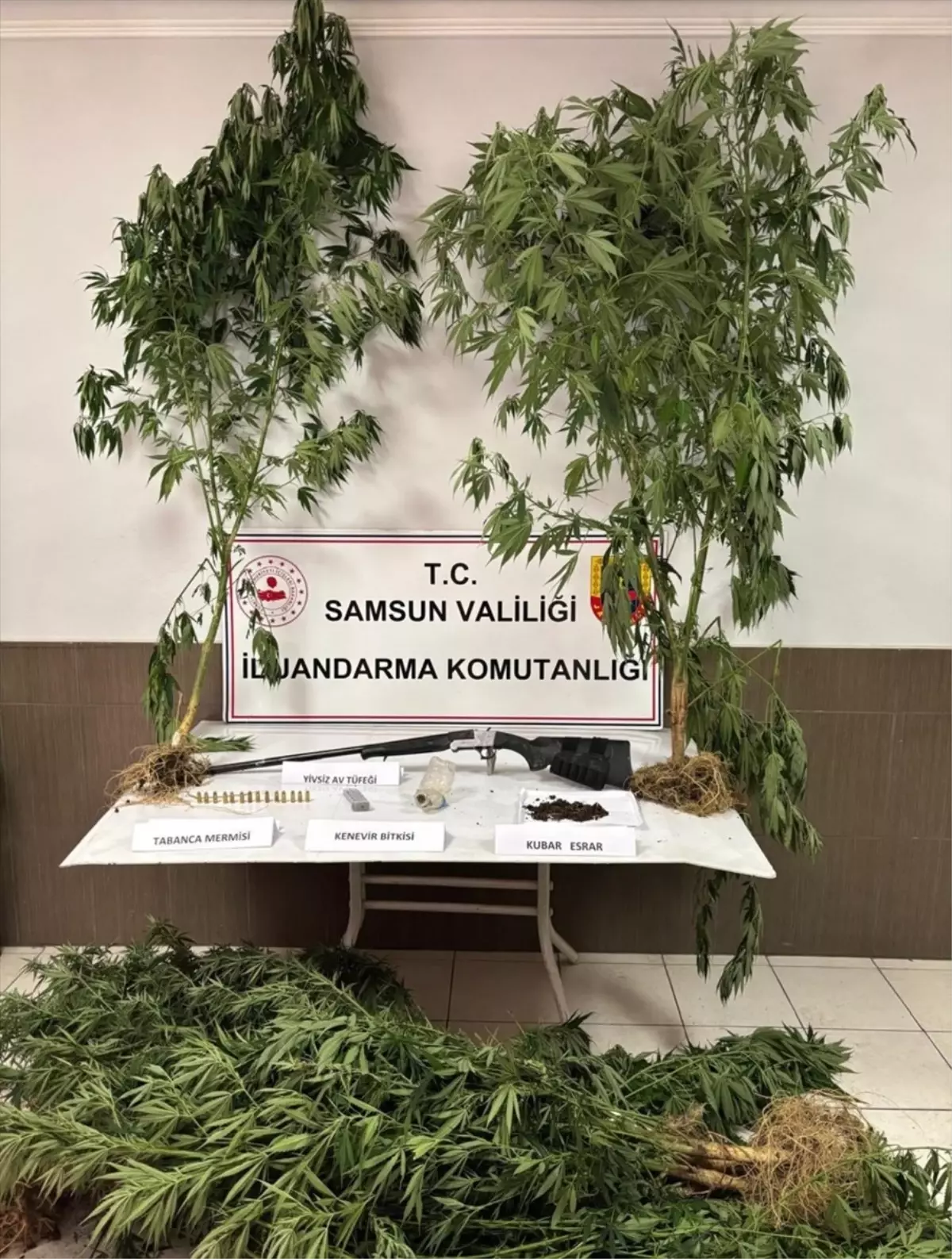 Samsun'da Uyuşturucu Operasyonu: 1 Gözaltı