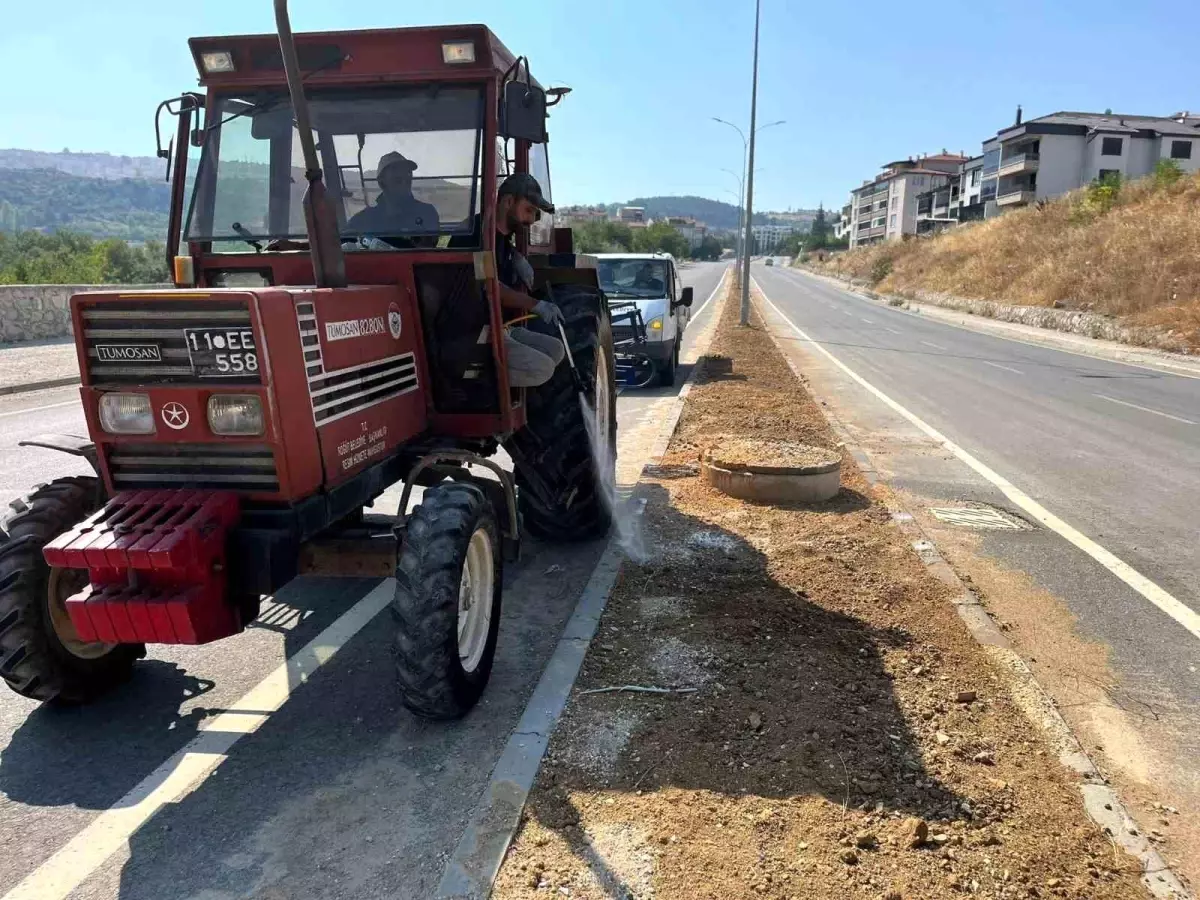 Söğüt Belediyesi Temizlik ve Peyzaj Çalışmalarına Devam Ediyor