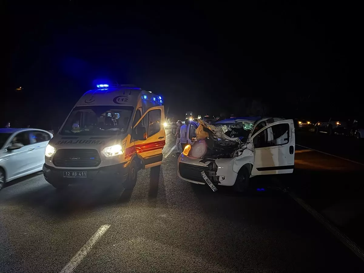 Bingöl'de Ata Çarpan Araçta 1 Ölü
