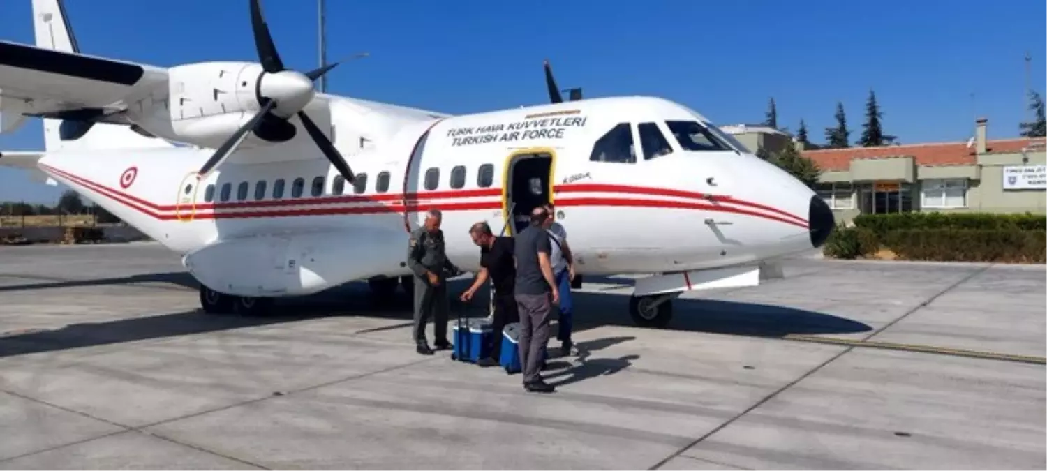 Konya'da Organ Nakli Hava Yolu ile Gerçekleşti
