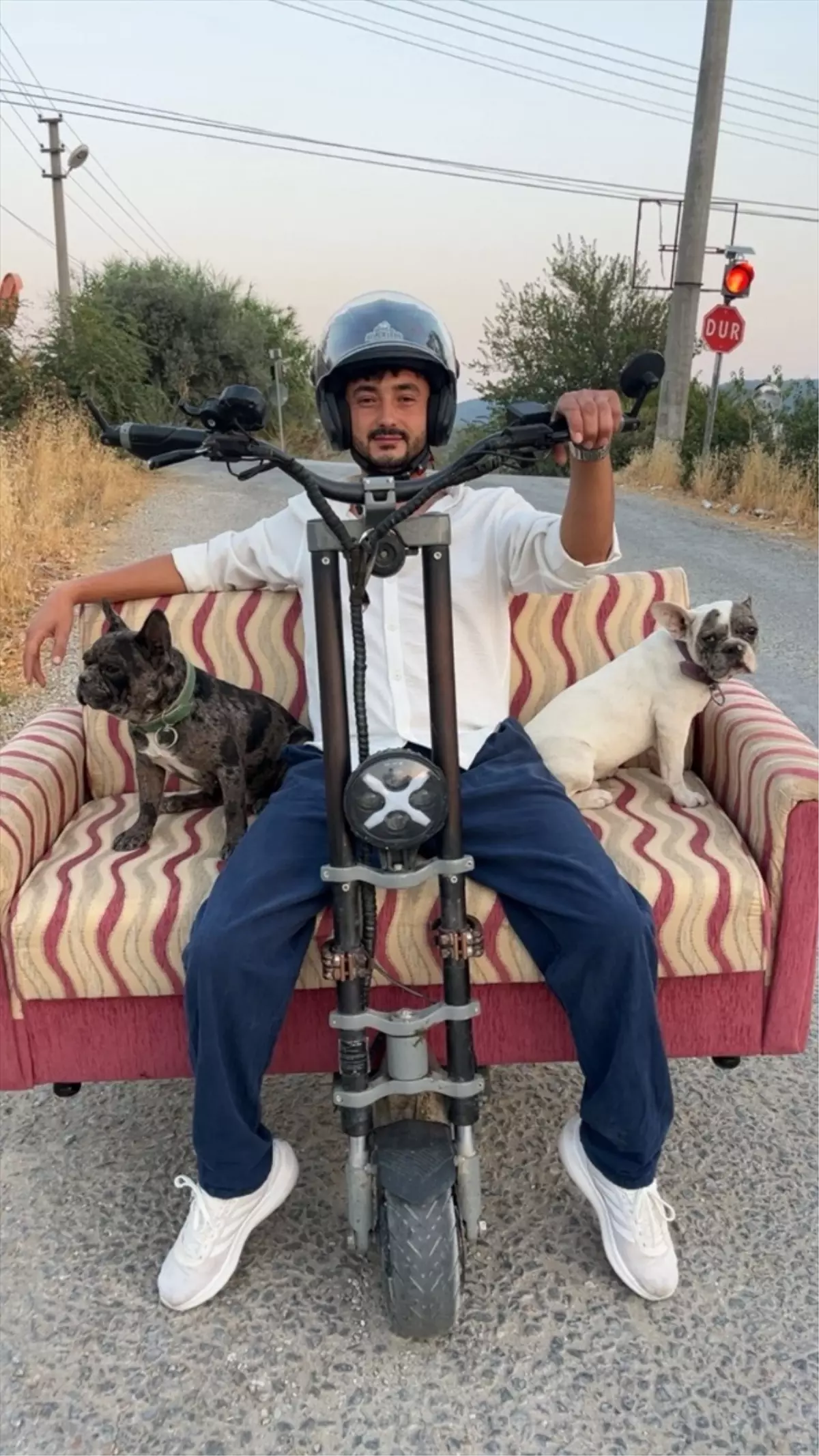 Koltuklu Skuterle Köpek Yolculuğu