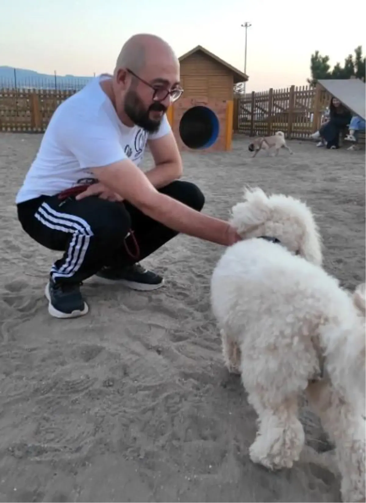 Proteo Köpek Eğitim Parkuru'na tam not