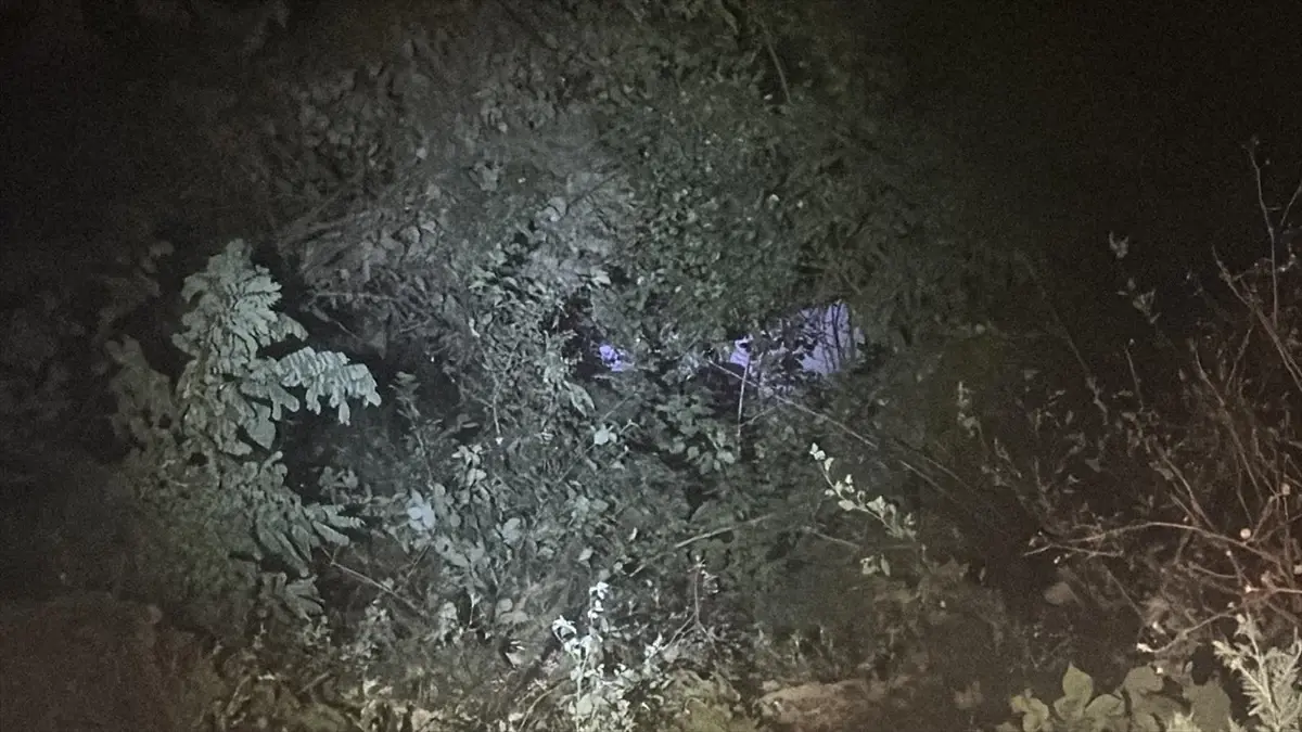 Bolu Dağı'nda Kamyonet Uçuruma Yuvarlandı