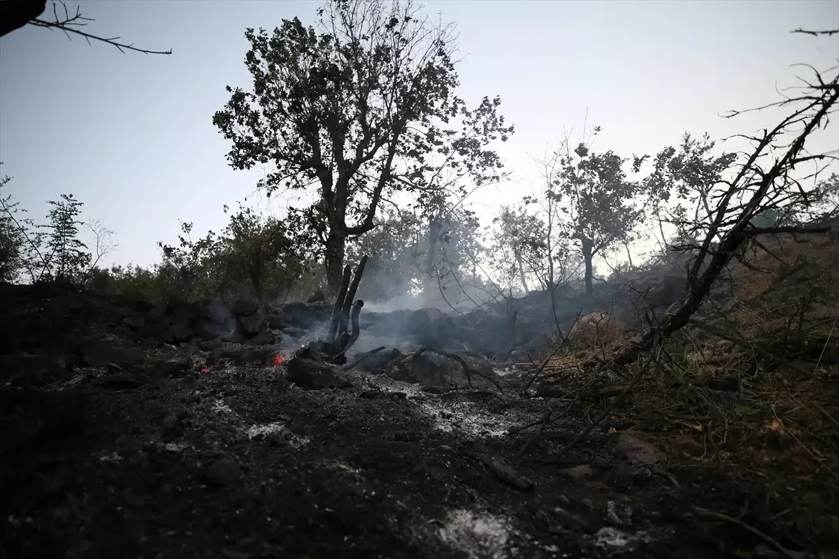 Malatya'da Orman Yangını Kontrol Altına Alındı