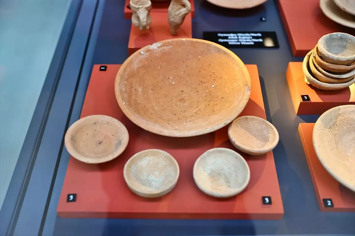 Vezirköprü'de Arkeoloji Çalıştayı Düzenlendi