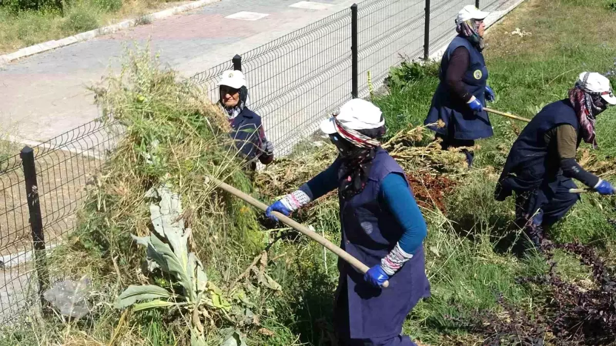 Tavşanlı'da Sıcak Havada Çalışan Kadın İşçilere Takdir