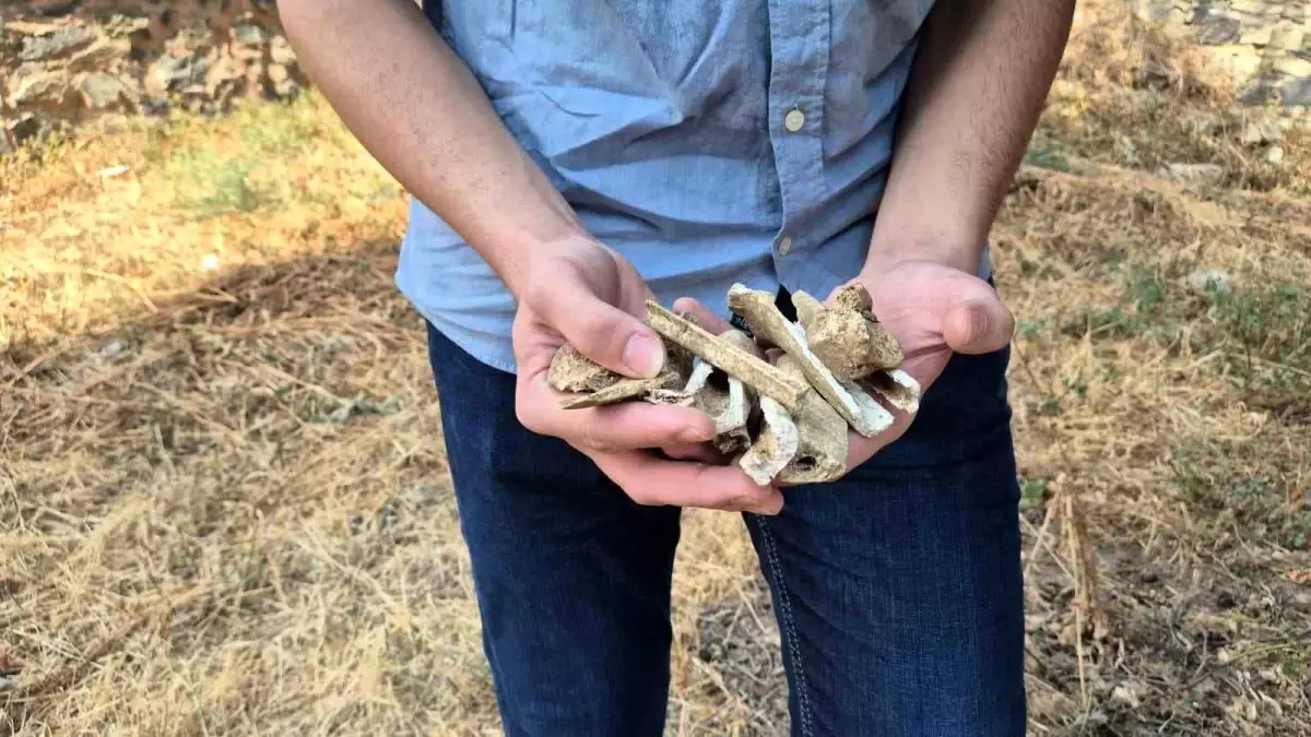 Tarihi Mezarlık Tahrip Edildi