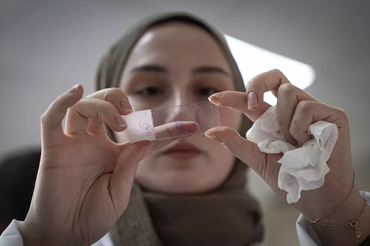 Pestisitler Alzheimer'a Neden Olabilir mi?