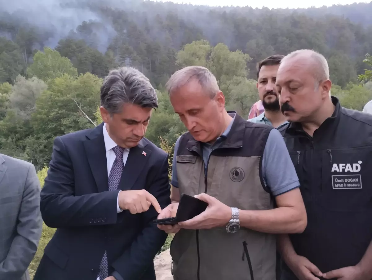 Bolu'daki Orman Yangını Kontrol Altında