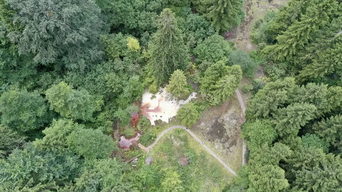 Giresun'da Doğa Harikası: Kuzalan Tabiat Parkı