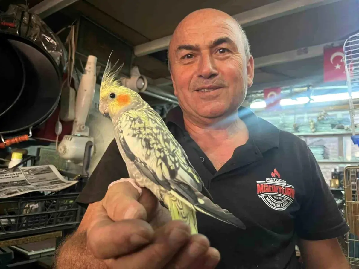 Kuşlarla Mutlu İş Hayatı
