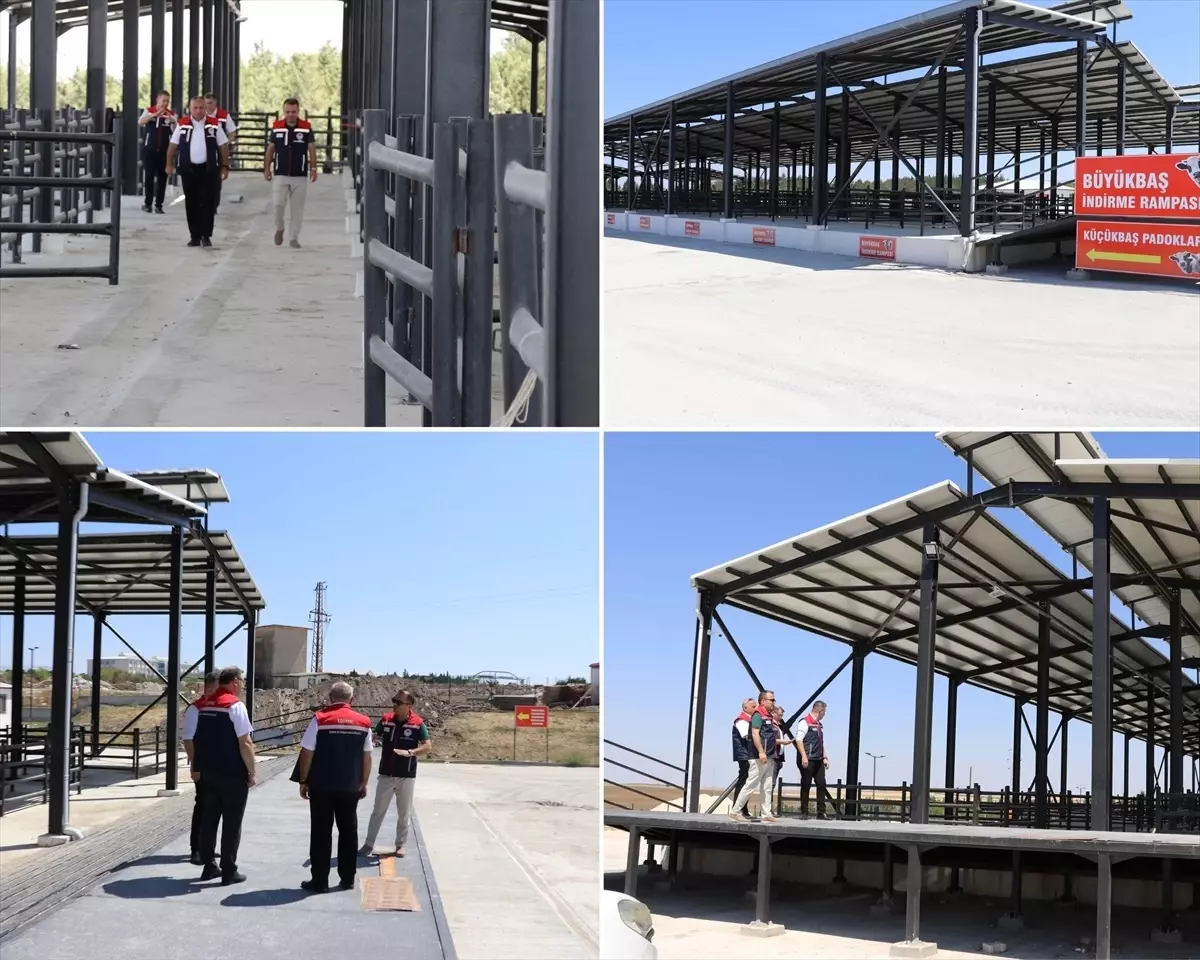 Edirne Tarım Müdürü Havsa Pazarında İnceleme Yaptı