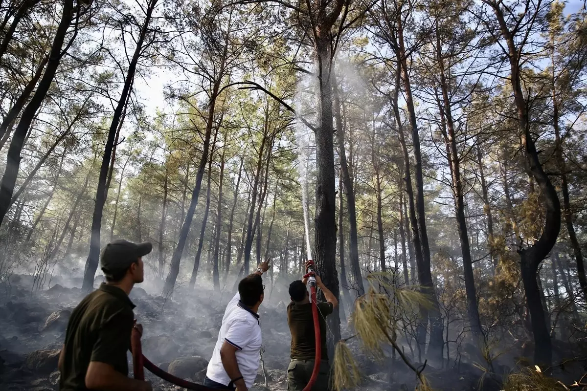 Fethiye'de Orman Yangını Kontrol Altına Alındı