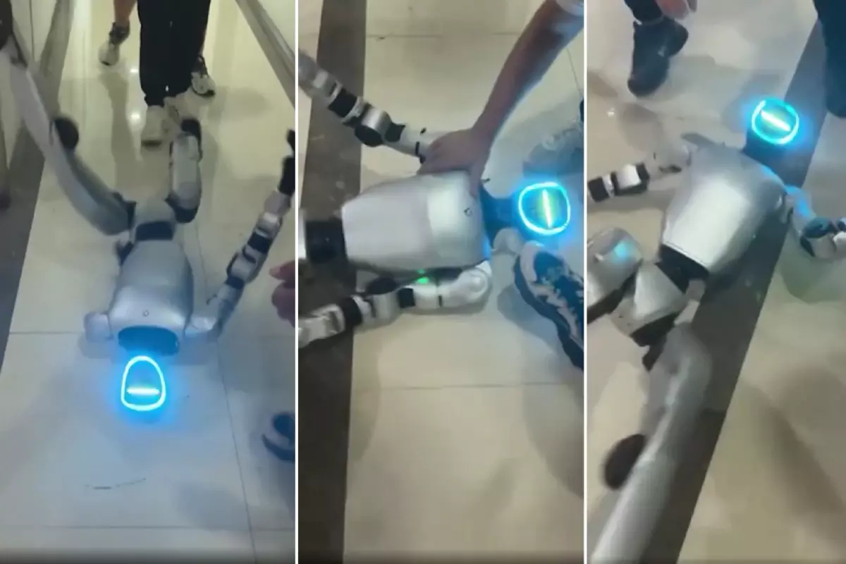 Yazılım hatası yaşayan robot, panik atak geçirdi
