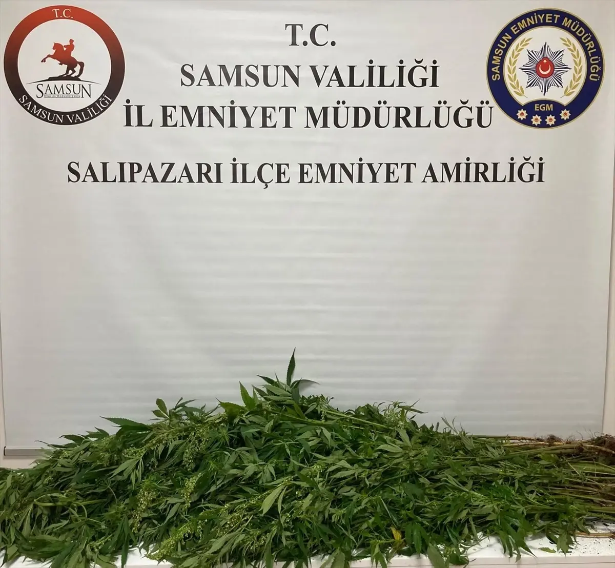 Güncel