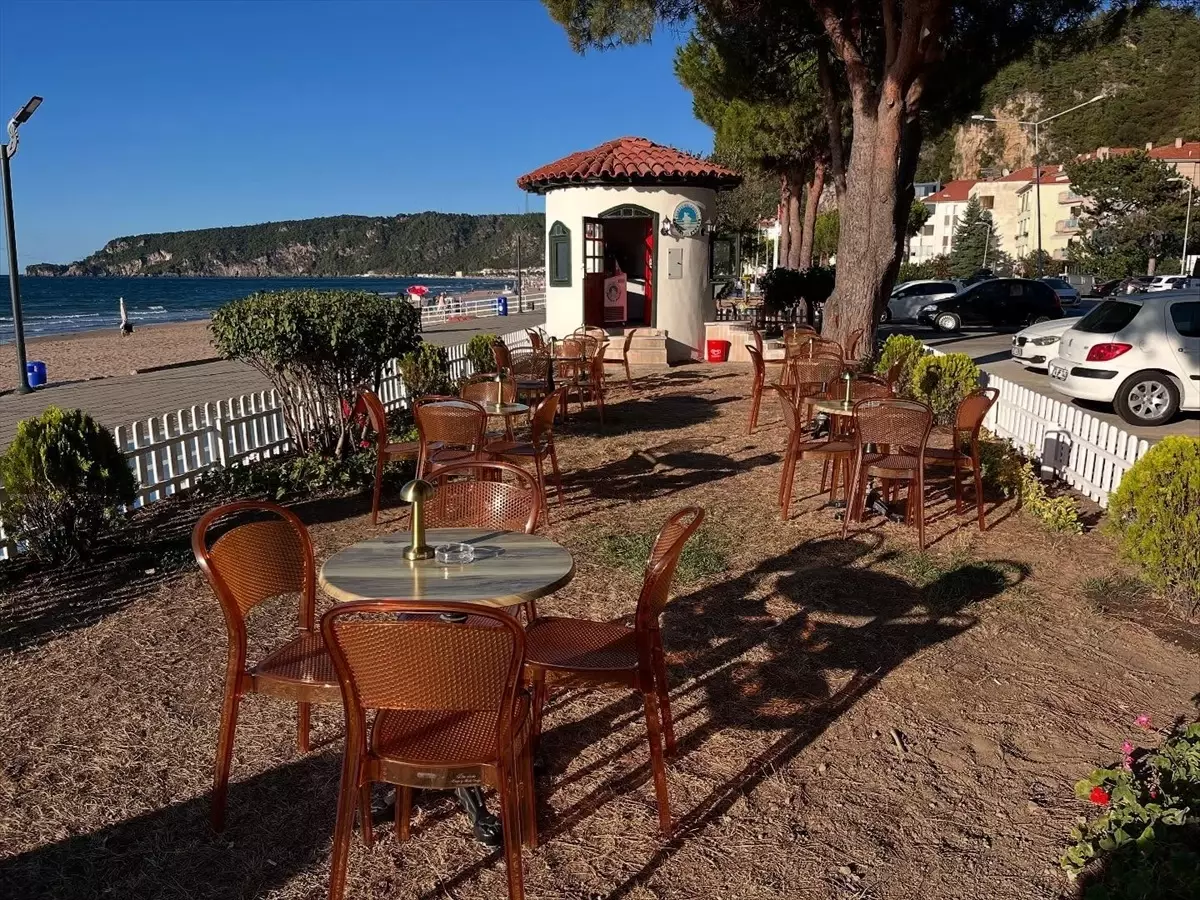 Bartın'da Sinek İlaçlama ve Yenilikçi Proje