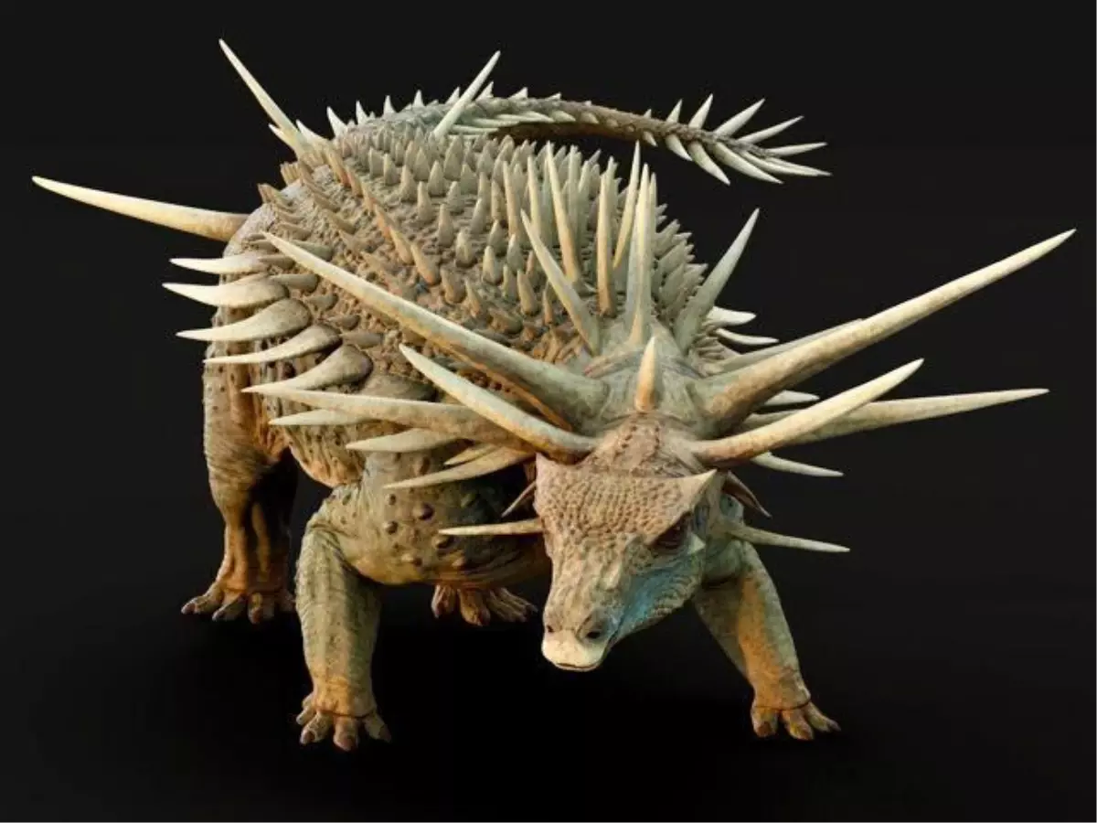 Yeni Zırhlı Dinozor Spicomellus Afer Keşfedildi